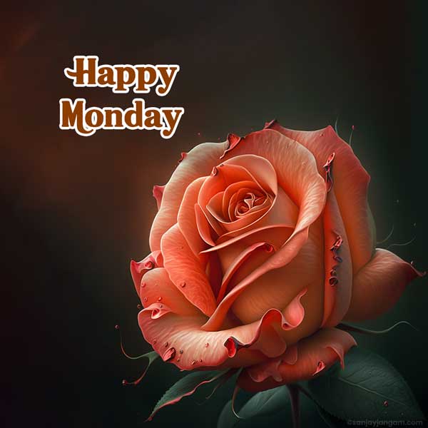 happy monday hd photos