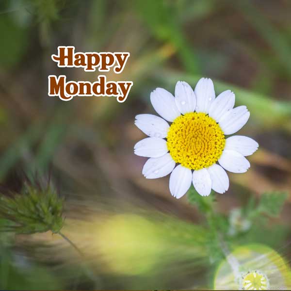 happy monday images free