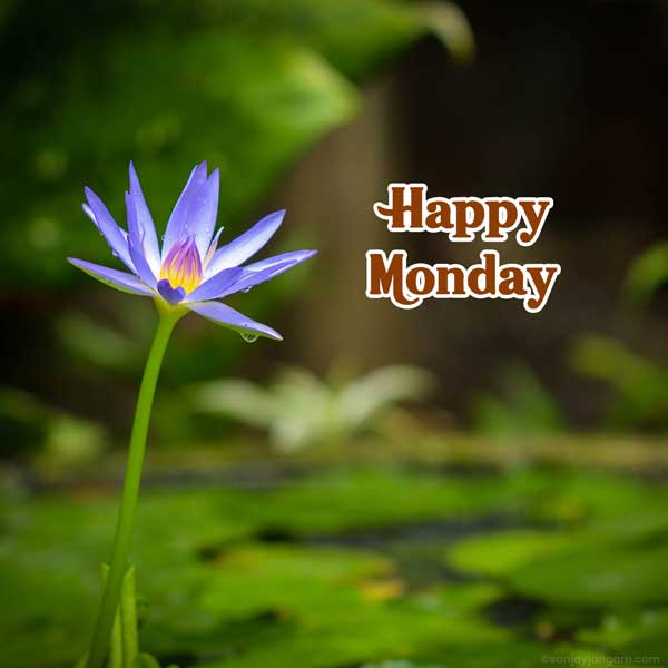 happy monday images hd