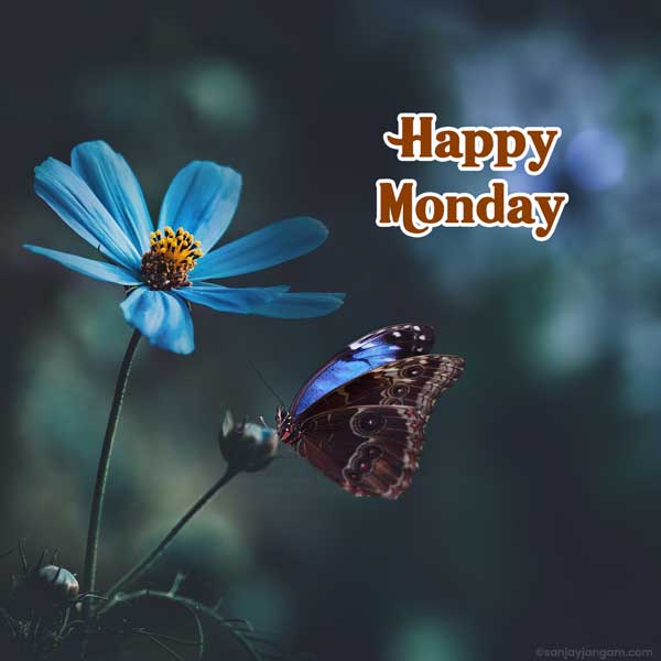 happy new week images