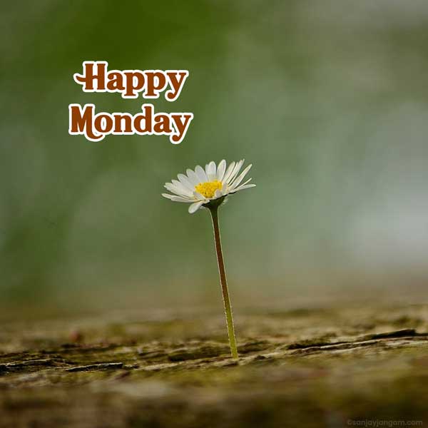 happy rainy monday images