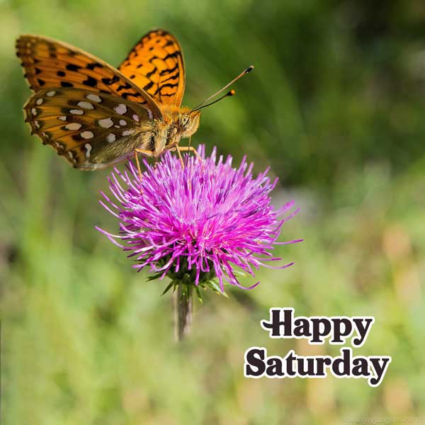happy saturday blessings images