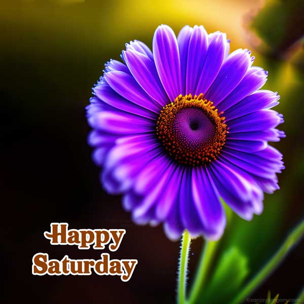 happy saturday god images