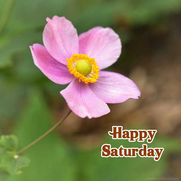 happy saturday good morning god images