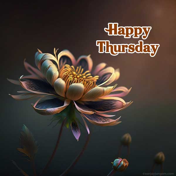 happy thankful thursday images