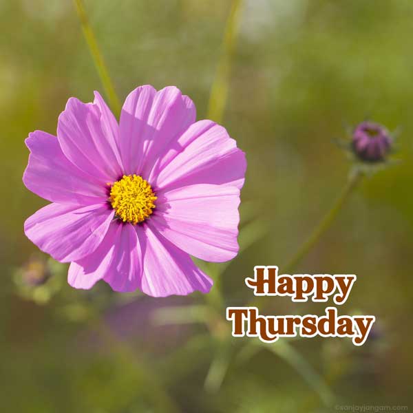 happy thursday blessings images