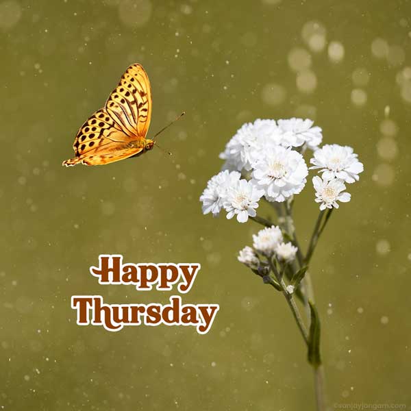 happy thursday images and quotes