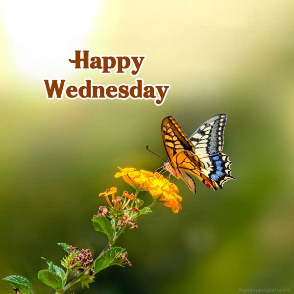 happy wednesday god images