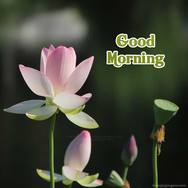 have a beautiful day images