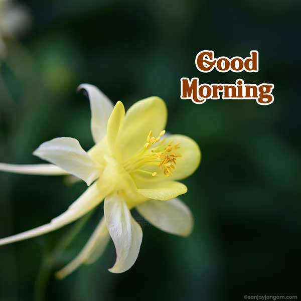 have a blessed day images