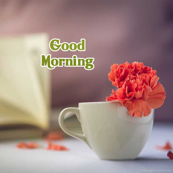 have a great day images