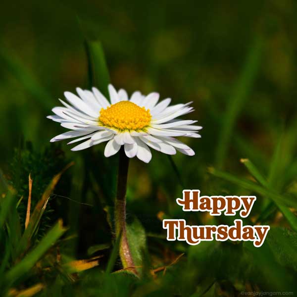 have a wonderful thursday images