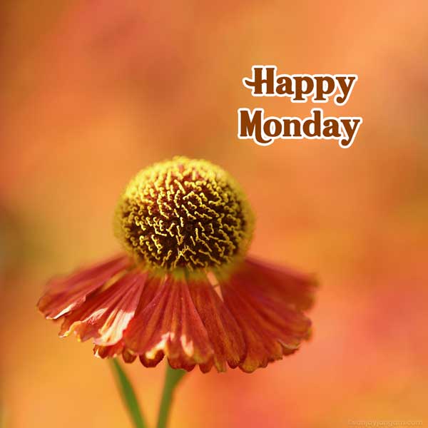 monday greetings images