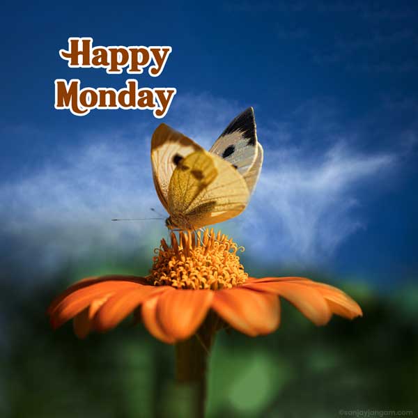 monday morning greetings images