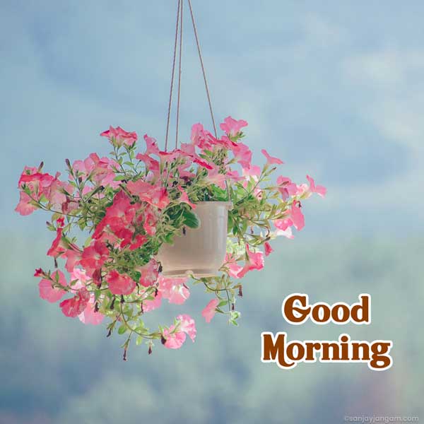morning prayer images