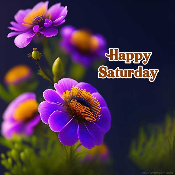 saturday greetings images