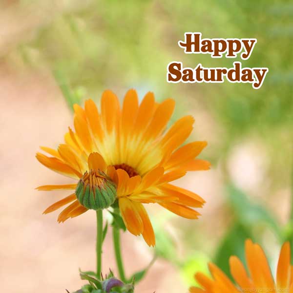 saturday happy weekend images