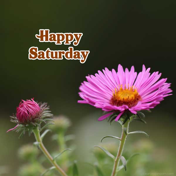 saturday wishes with god images