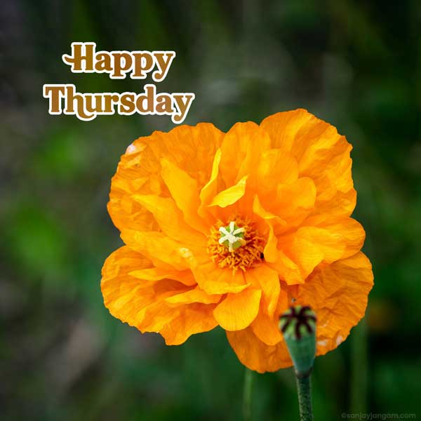 thursday morning greetings and blessings