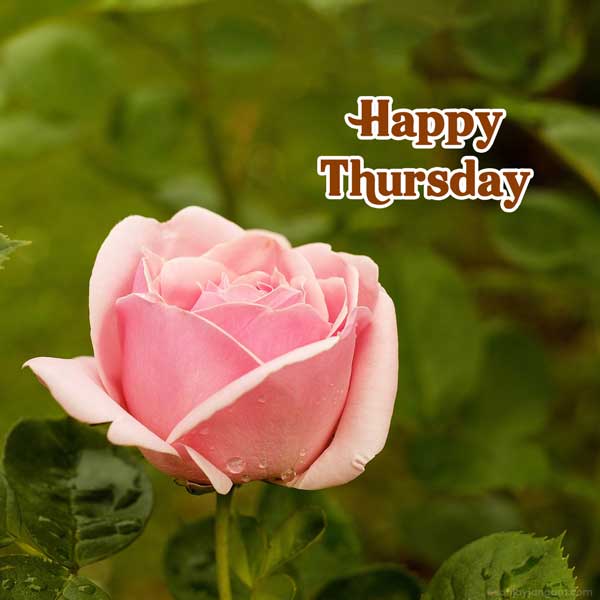 thursday morning greetings images