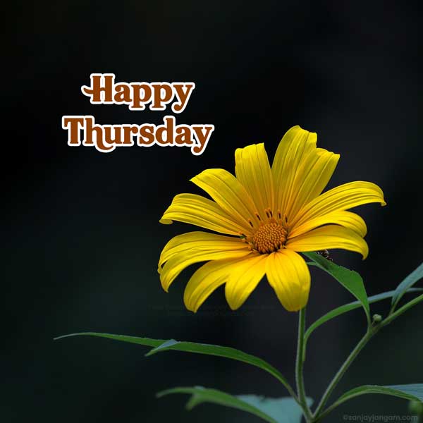 thursday morning wishes images