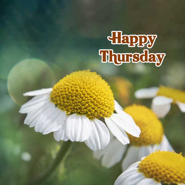 thursday wishes with god images