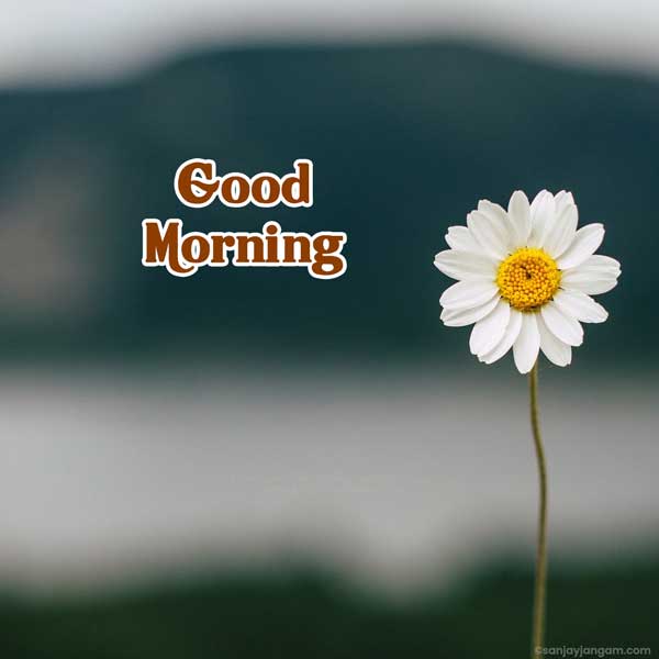 very good morning images