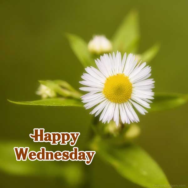 wonderful wednesday blessings images